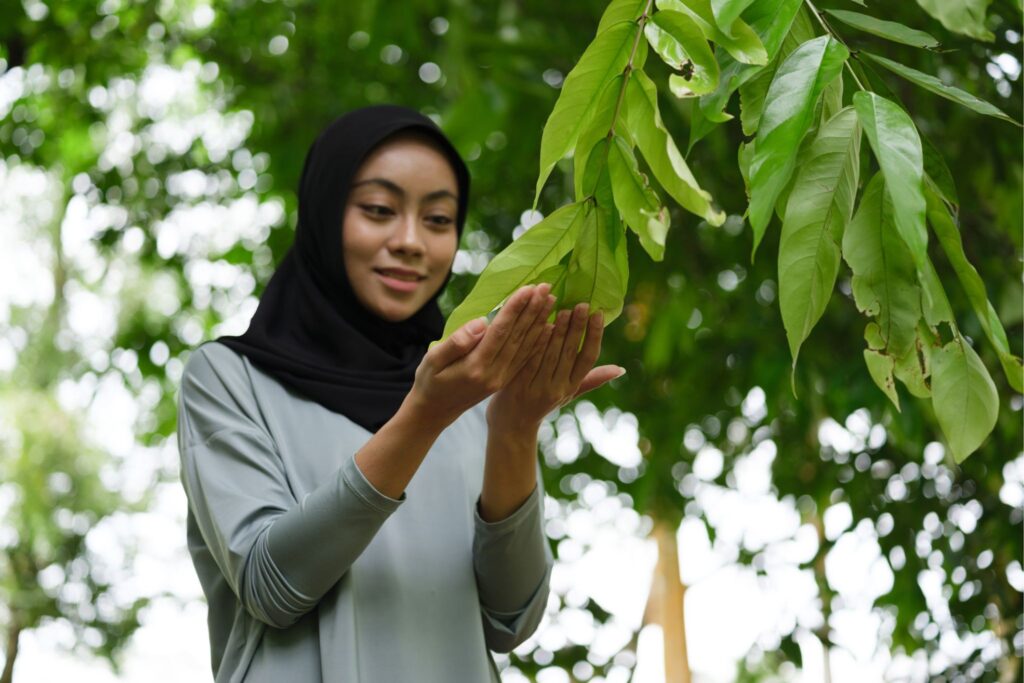 Theory of Change: The Backbone of High-Quality Carbon Projects 