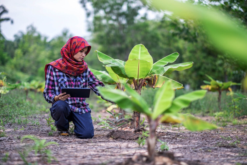 Women with digital tablet at farm