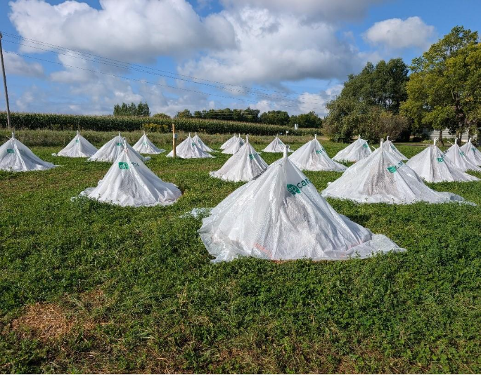 Introducing Carbon Yards: Reviving Forest Health and Rural Economies Through Durable Carbon Removal